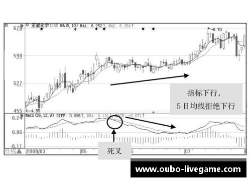 排球场上的位置战略与角色演变